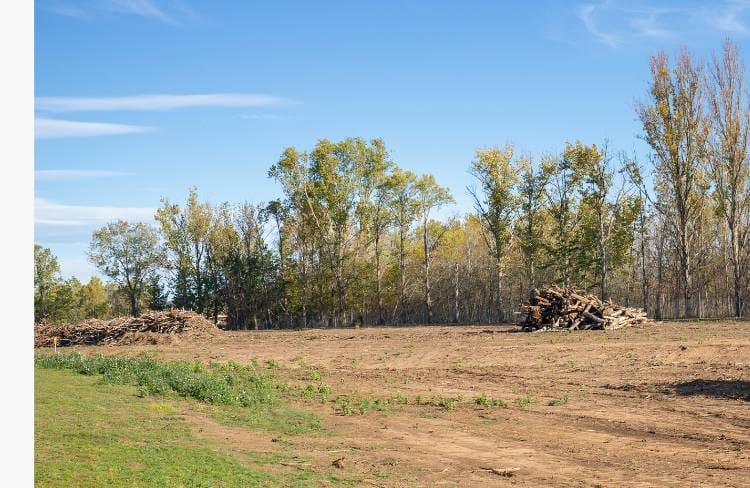 Before and After Site Clearing
