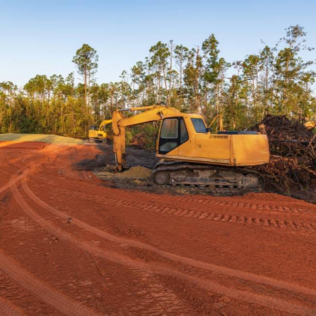 Brush Removal Bobcat Service